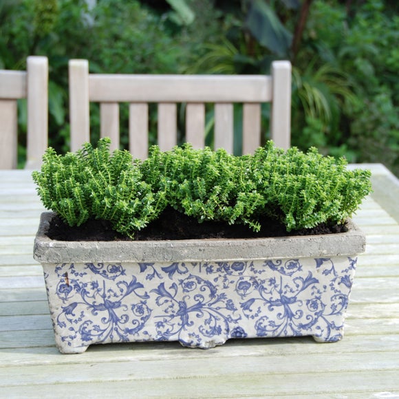 Fallen Fruits Ceramic Rectangular Planter