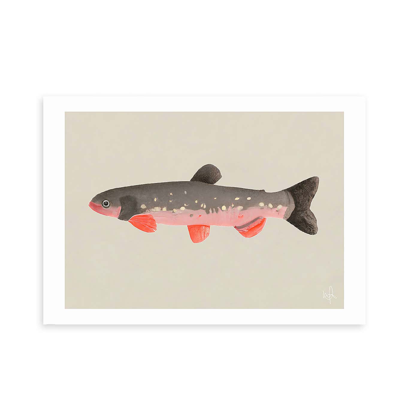 Carousel zoom image position 2 of 2