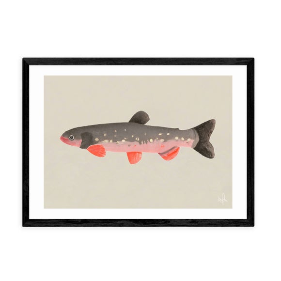 Photo 2 of East End Prints Still Fishy Print