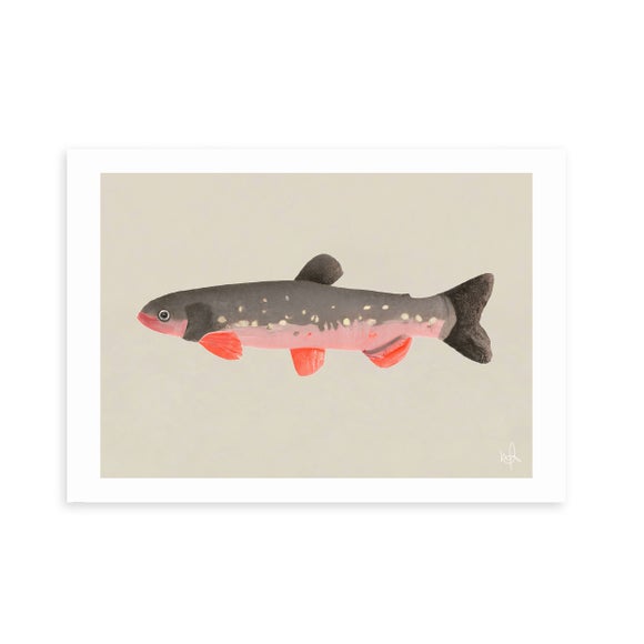 Carousel navigation image position 2 of 2