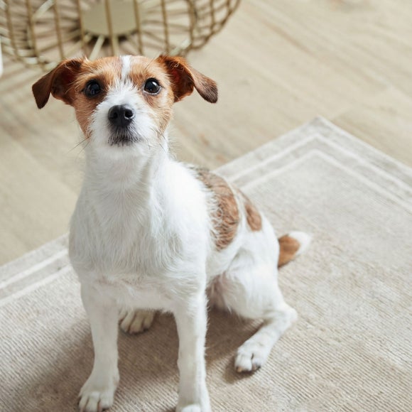 Carousel navigation image position 6 of 7