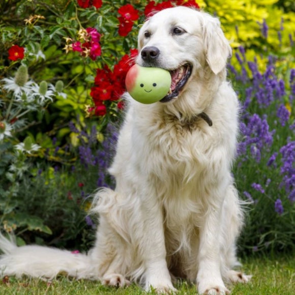 Carousel navigation image position 4 of 4