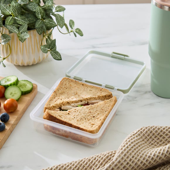 Plastic Sandwich Box