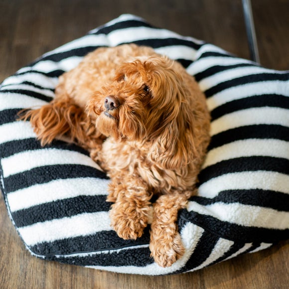 Carousel navigation image position 3 of 4