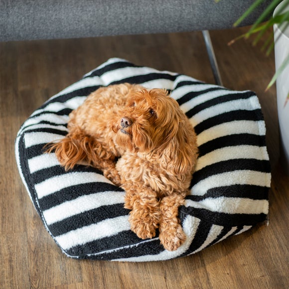 Carousel navigation image position 4 of 4