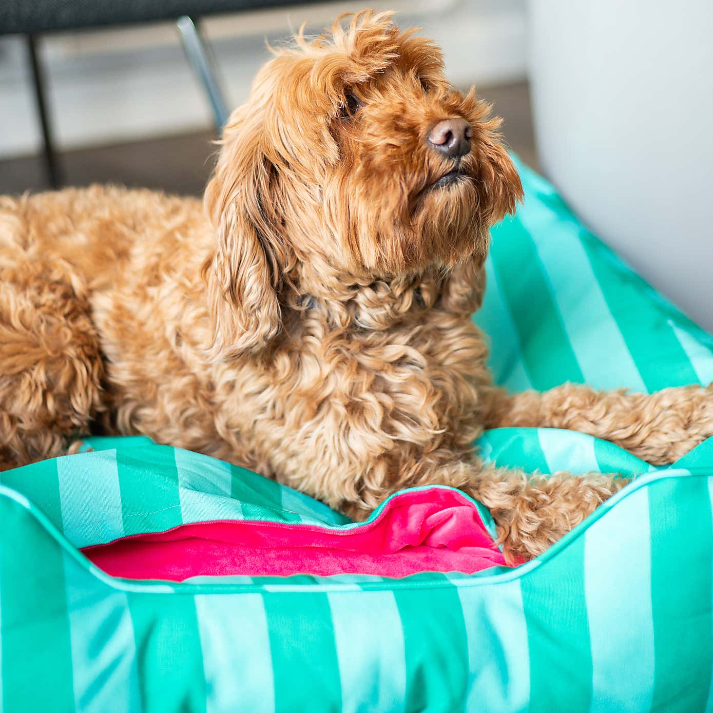 Carousel zoom image position 2 of 5