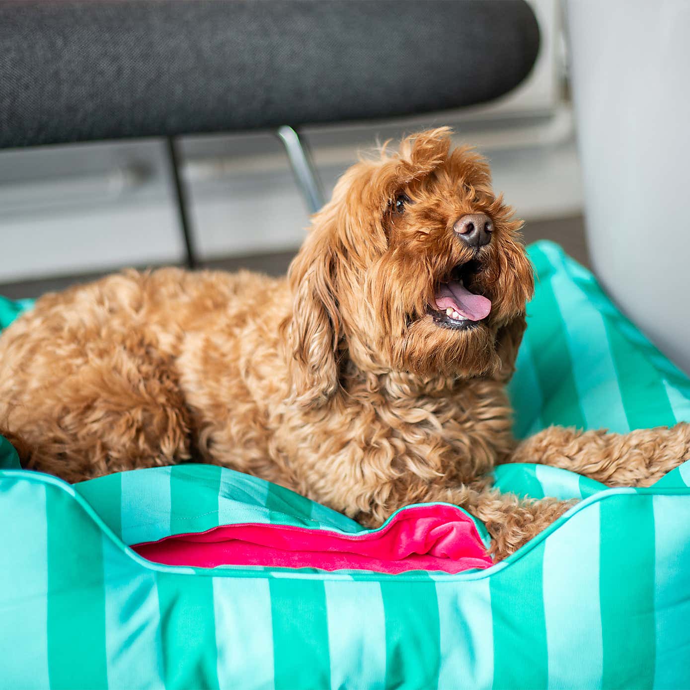 Carousel zoom image position 4 of 5