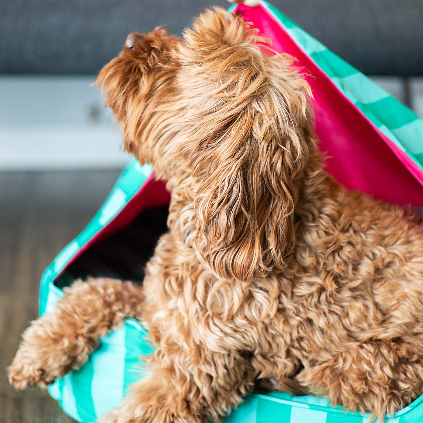 Carousel zoom image position 5 of 5