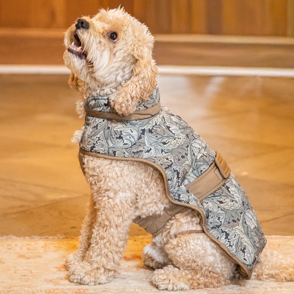 Morris and Co Acanthus Padded Dog Coat