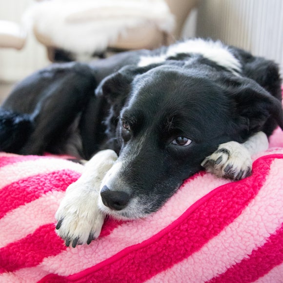 Carousel navigation image position 3 of 5