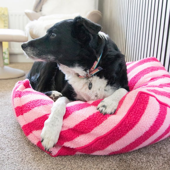 Carousel navigation image position 4 of 5