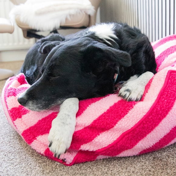 Carousel navigation image position 5 of 5