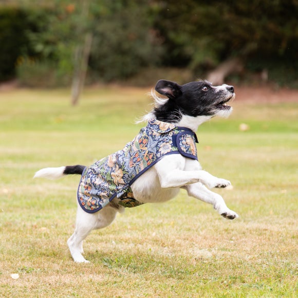 Morris and Co Strawberry Thief Reversible Dog Coat