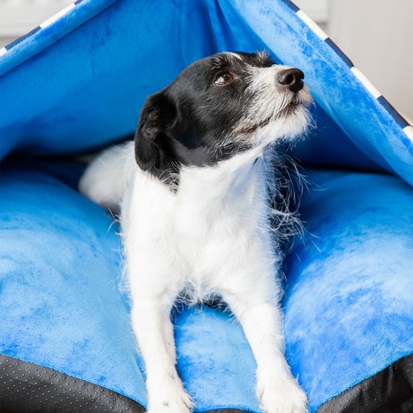 Carousel navigation image position 5 of 5