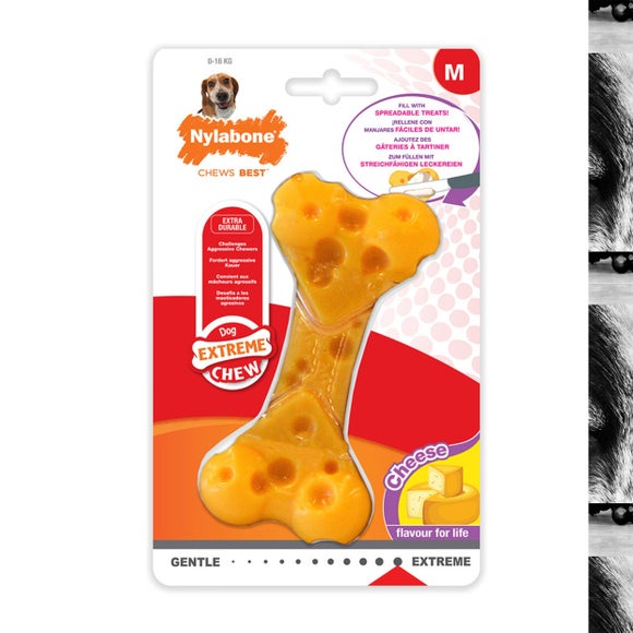 Nylabone Cheese Extreme Texture Dog Bone