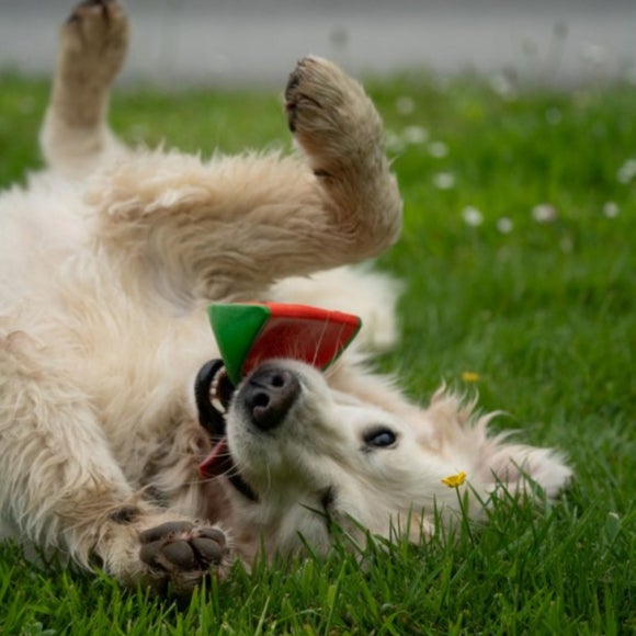 Carousel navigation image position 4 of 4