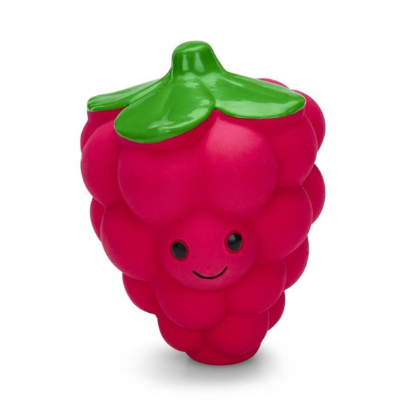 PetFace Raspberry Dog Toy