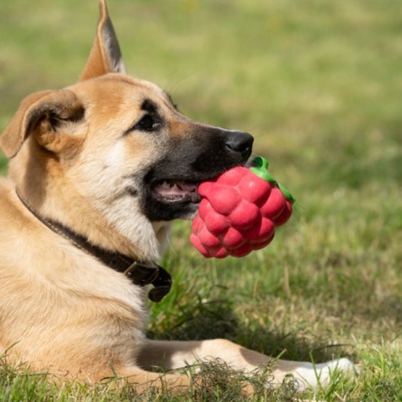 Carousel navigation image position 4 of 4