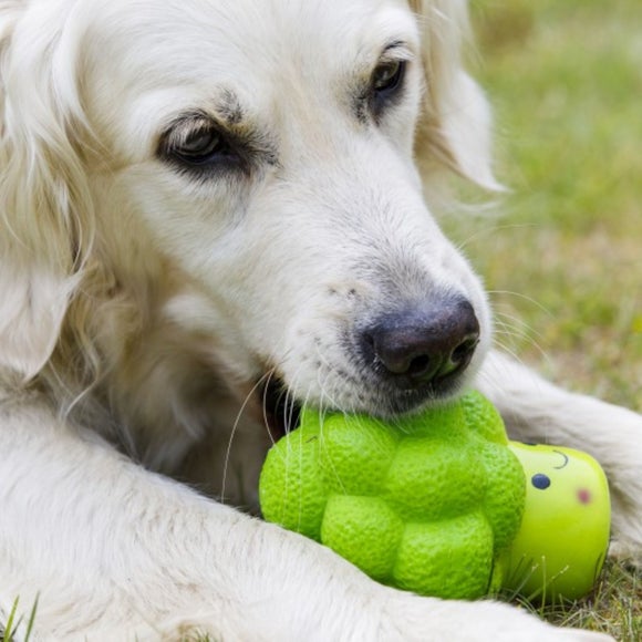 Carousel navigation image position 4 of 4