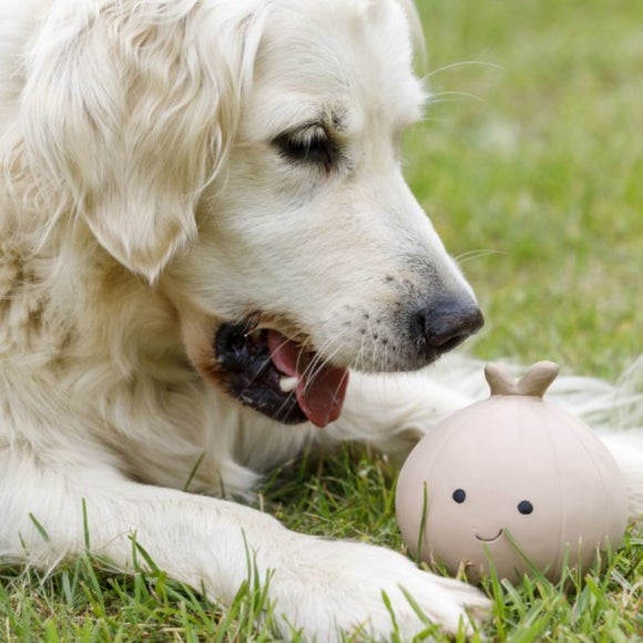 Carousel navigation image position 4 of 4