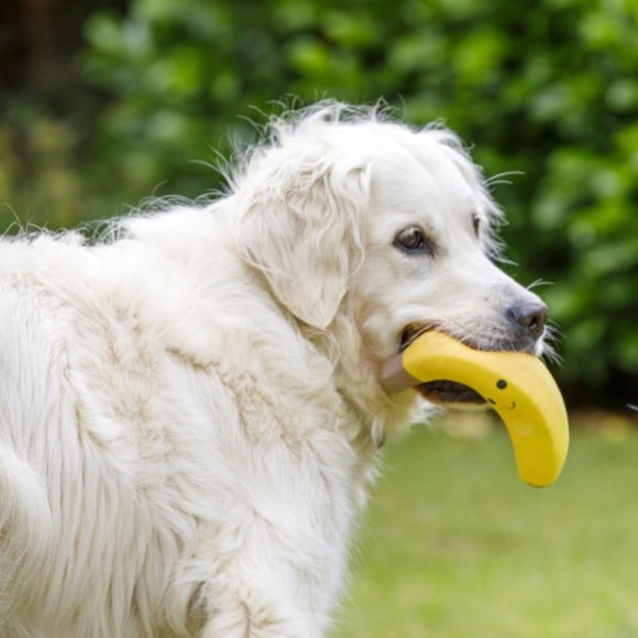 Carousel navigation image position 4 of 4