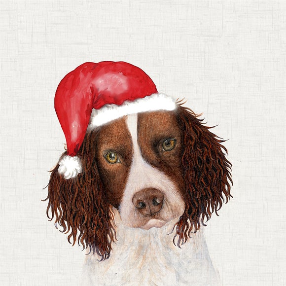 Photo 4 of Spaniel Christmas Hat Square Cushion