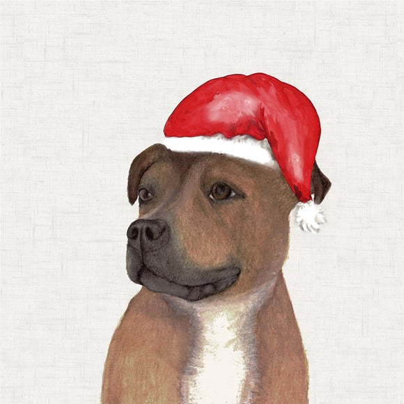 Photo 4 of Staffy Christmas Hat Square Cushion