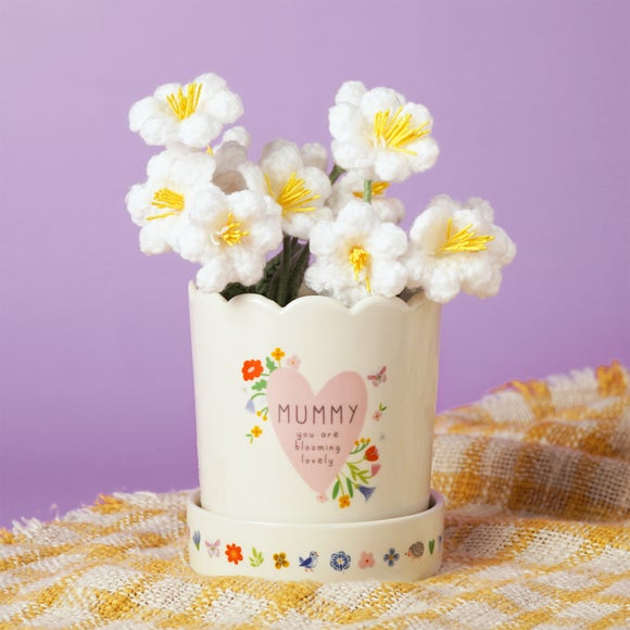 Love Life Mummy Plant Pot & Saucer Set