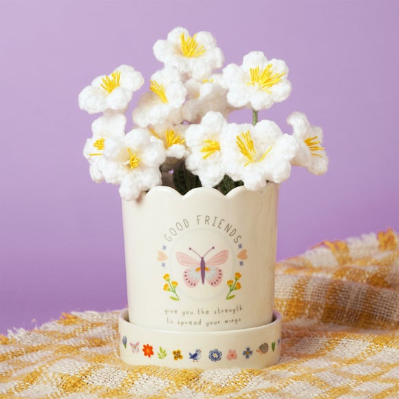 Love Life Friends Plant Pot & Saucer Set
