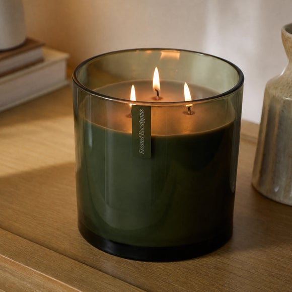 Christmas Hope Frosted Eucalyptus XL Multi Wick Candle