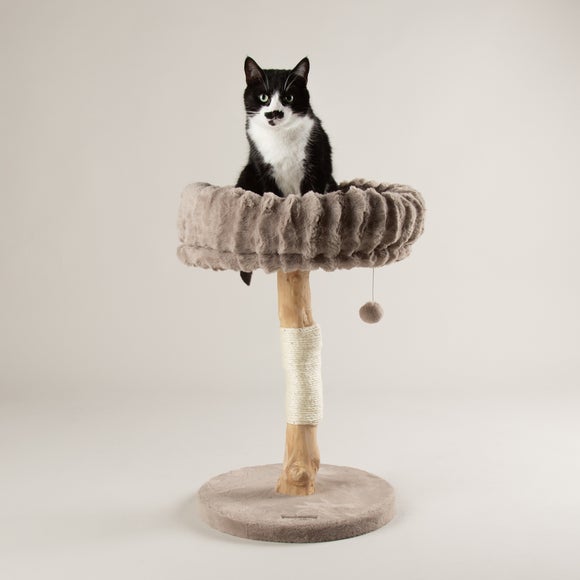Scruffs Appalachians Cat Scratching Tree