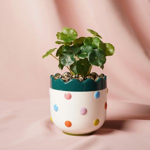 Raspberry Blossom Artificial Bobble Plant Pot