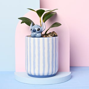 Disney Stitch Artificial Plant In Striped Pot With 3d Stitch