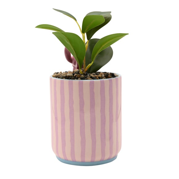 Carousel navigation image position 6 of 6