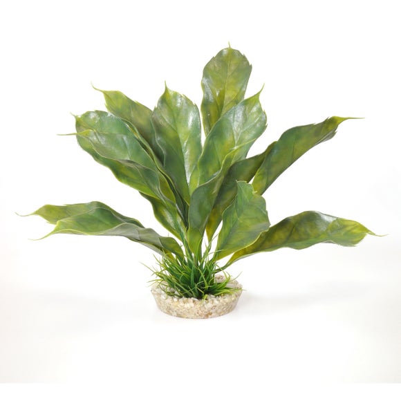 Sydeco Artificial Anubias Aquarium Plant Decoration