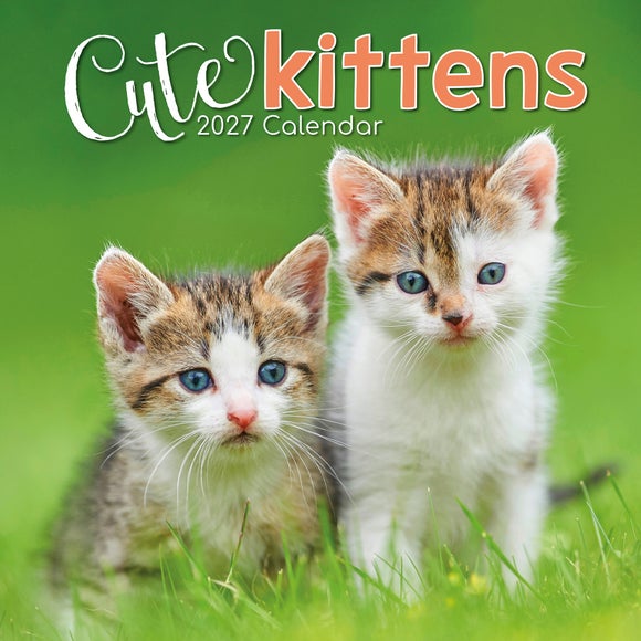 Cute Kittens 2027 Calender