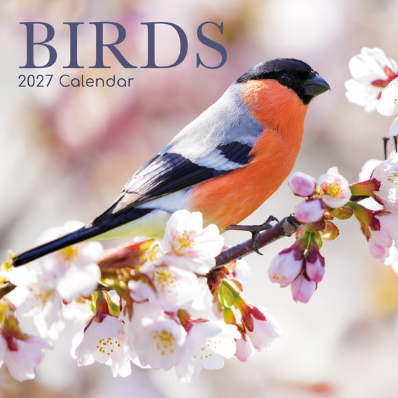 Birds 2027 Calendar