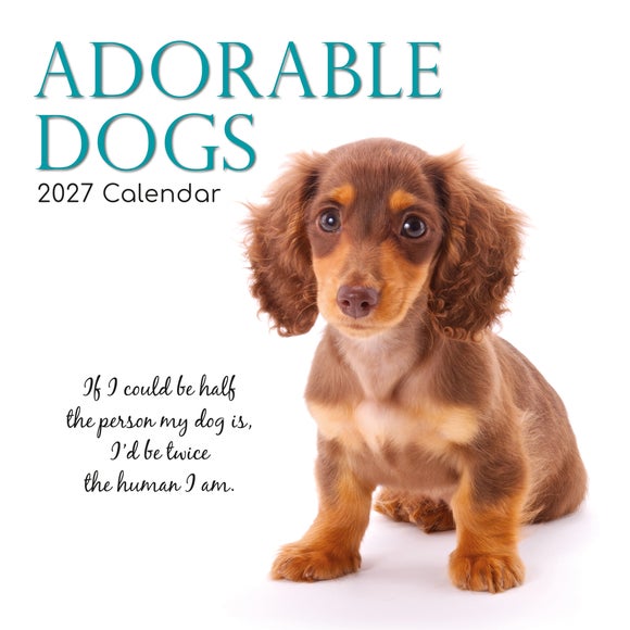 Adorable Dogs 2027 Calendar