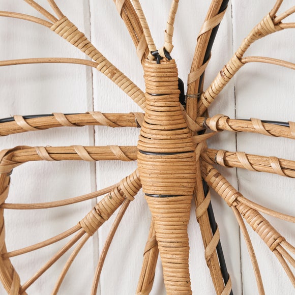 Carousel navigation image position 4 of 6