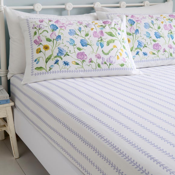 Dreams N Drapes Sweetpea Floral 100% Cotton Fitted Sheet