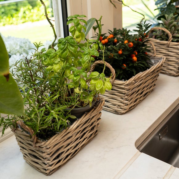 View Set Of 3 Rectangular Wicker Plant Baskets With Handles View Set Of 3 Rectangular Wicker Plant Baskets With Handles