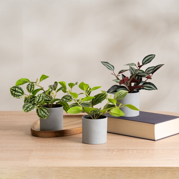 View Set Of 3 Artificial Mini Trailing Plants In Grey Pots View Set Of 3 Artificial Mini Trailing Plants In Grey Pots
