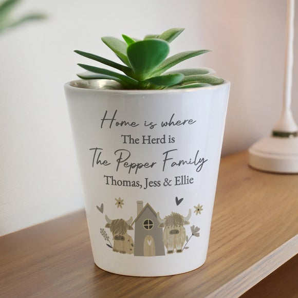 Personalised Highland Cow Plant Pot