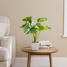 Artificial Cheese Plant in Ceramic Plant Pot