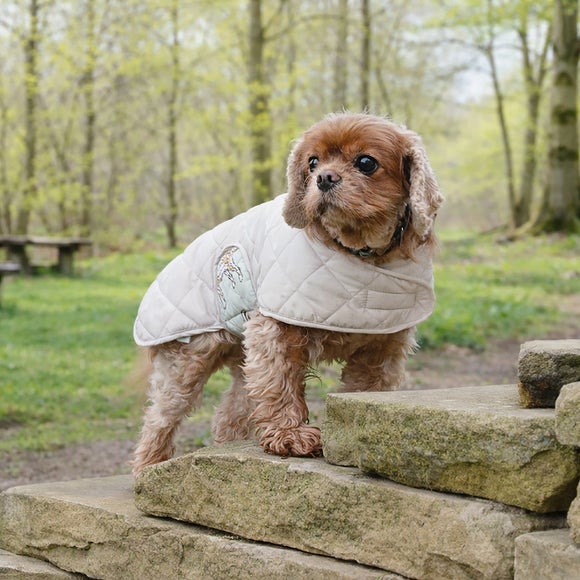 Banbury and Co Quilted Dog Coat