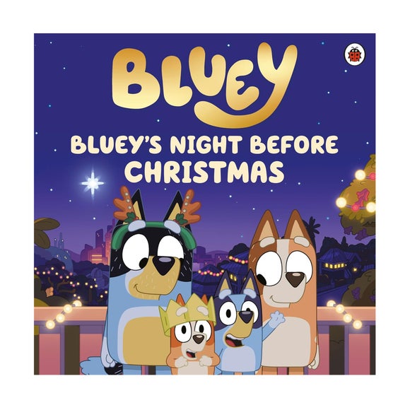 Bluey Night Before Christmas Book