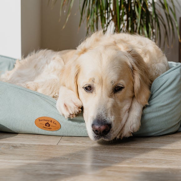 Photo 2 of Banbury And Co Corduroy Box Pet Bed Photo 2 of Banbury And Co Corduroy Box Pet Bed