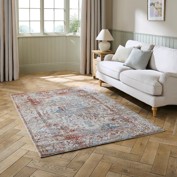 Distressed Look Traditional Rug