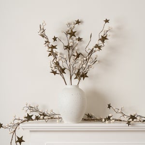 Set Of 2 65cm Pre-lit Star And Berry Branches