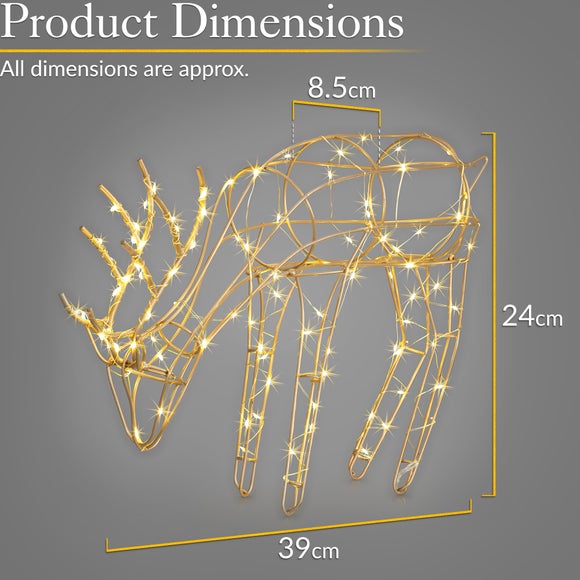 Carousel navigation image position 7 of 7